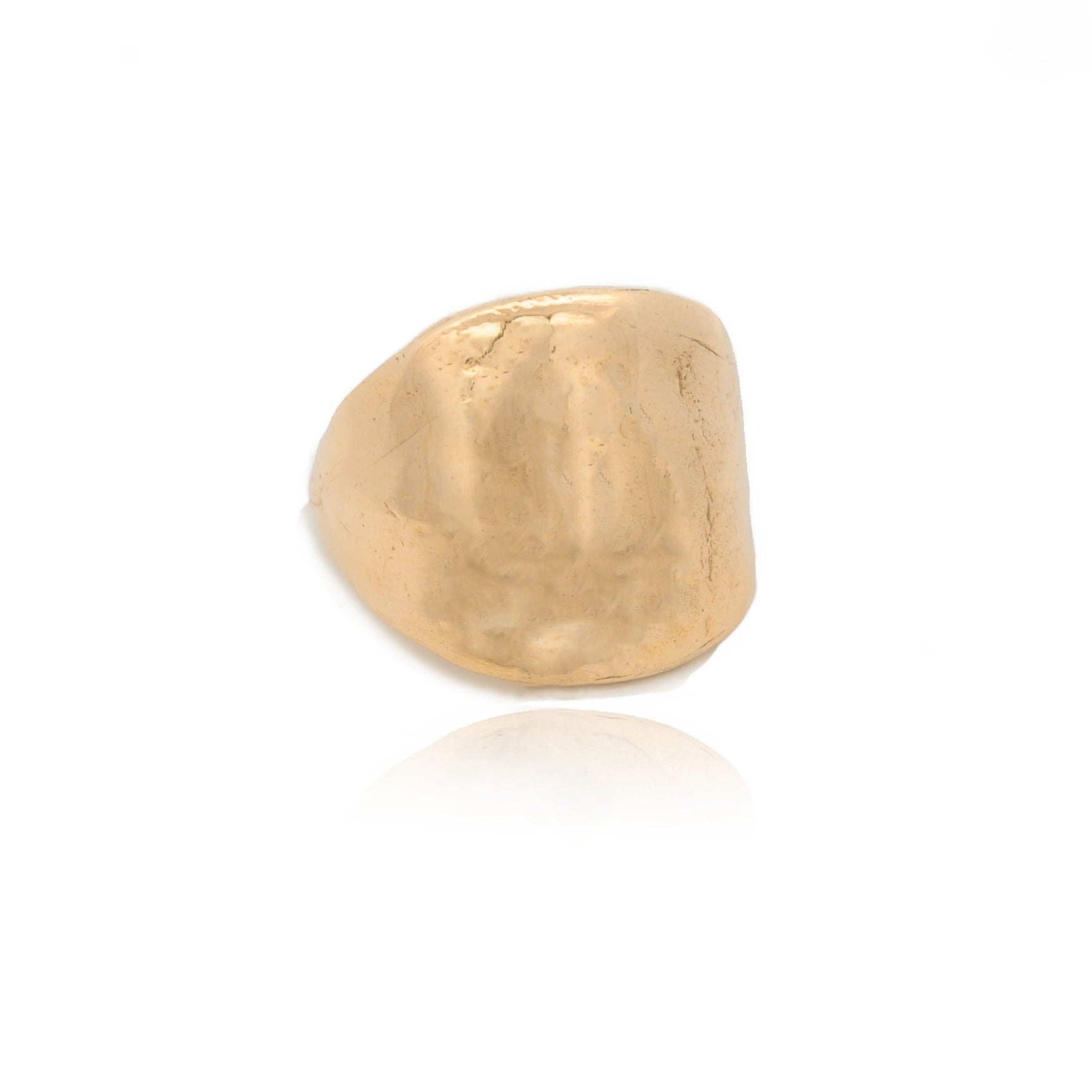 The Protector Ring - Gold Shield Signet Ring - Dea Dia