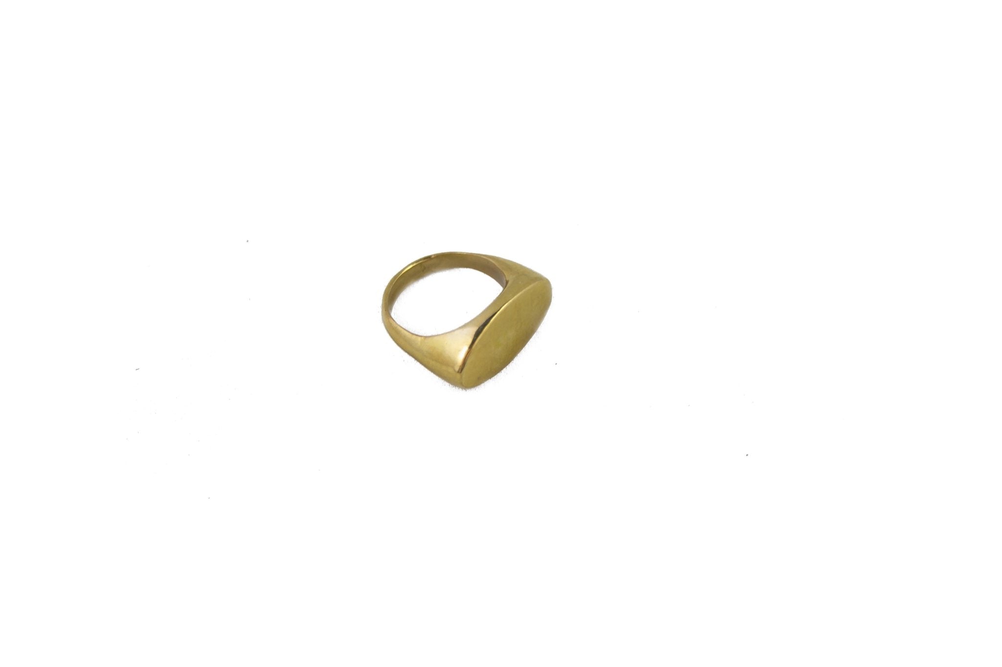 Obscura Oval Signet Ring in Gold & Silver - Dea Dia